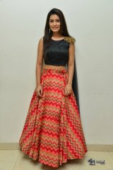 Payal Rajput New Photos